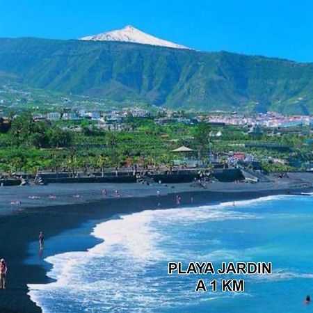 Toplage. Blick. Sauber. Guenstig. Pool. Gepflegt Puerto de la Cruz  Eksteriør bilde