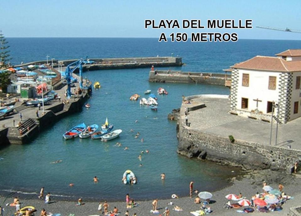 Toplage. Blick. Sauber. Guenstig. Pool. Gepflegt Puerto de la Cruz  Eksteriør bilde